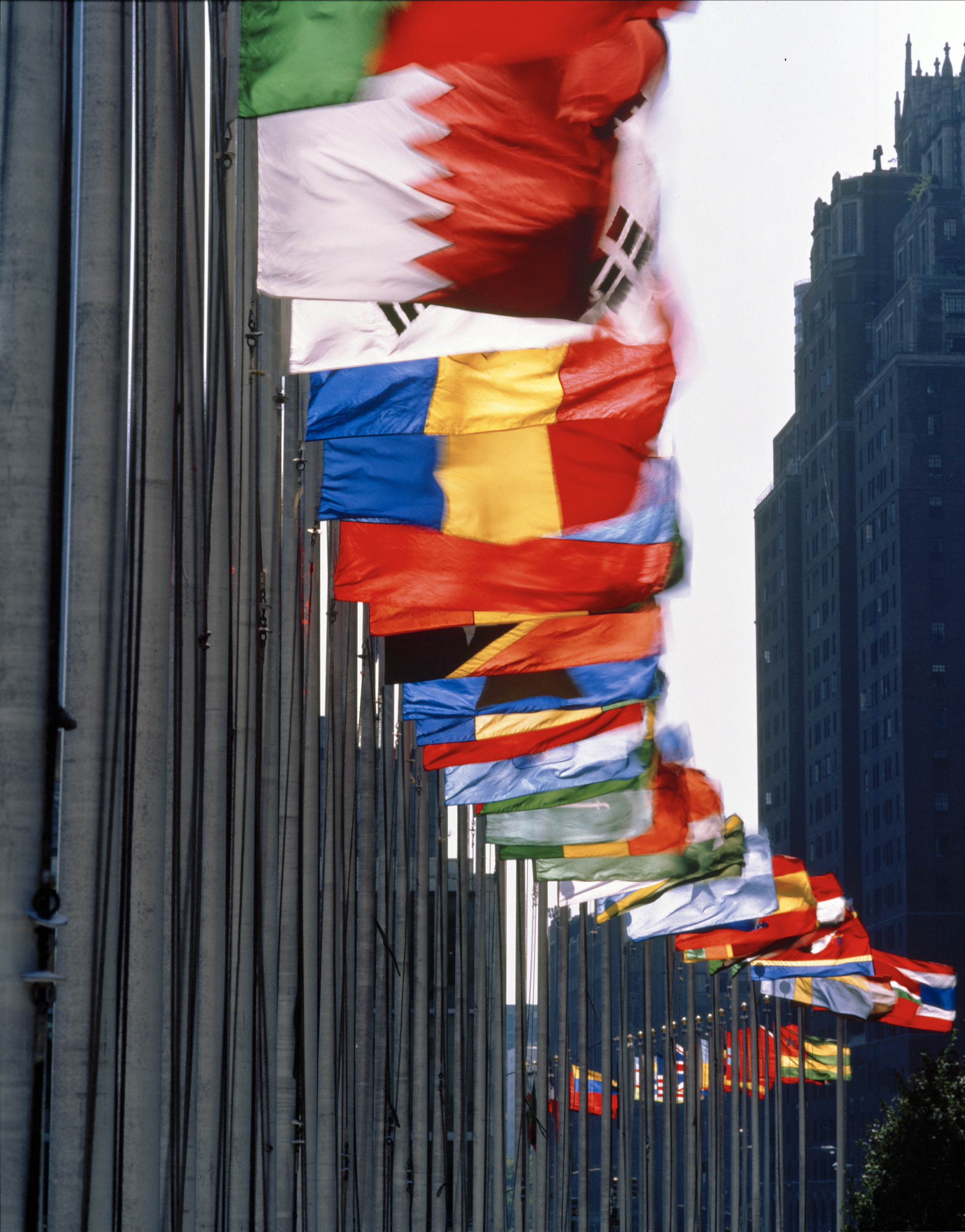 Photo 1 from THE HYGEIA FOUNDATION FOR HEALTH SCIENCE AND THE ENVIRONMENT INC